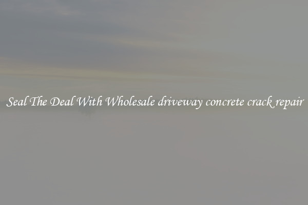 Seal The Deal With Wholesale driveway concrete crack repair