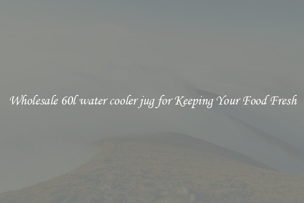 Wholesale 60l water cooler jug for Keeping Your Food Fresh