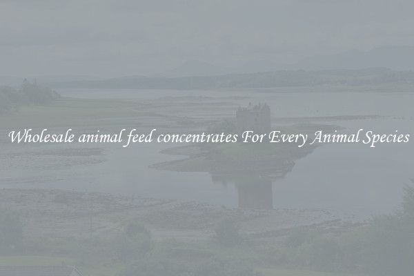 Wholesale animal feed concentrates For Every Animal Species