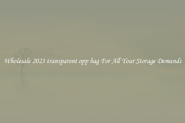 Wholesale 2023 transparent opp bag For All Your Storage Demands
