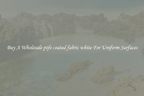 Buy A Wholesale ptfe coated fabric white For Uniform Surfaces