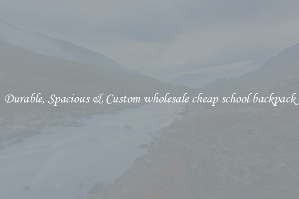 Durable, Spacious & Custom wholesale cheap school backpack