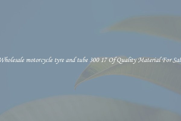 Wholesale motorcycle tyre and tube 300 17 Of Quality Material For Sale