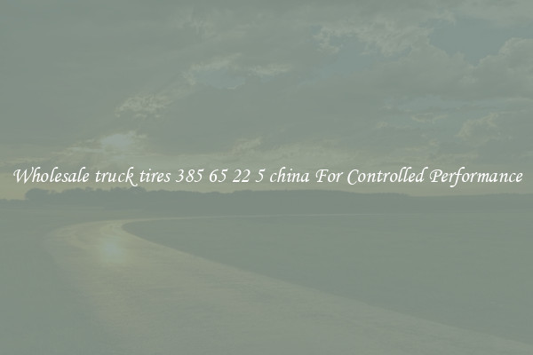 Wholesale truck tires 385 65 22 5 china For Controlled Performance