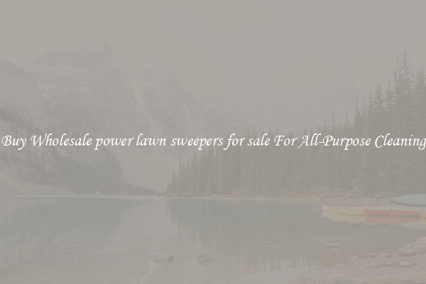 Buy Wholesale power lawn sweepers for sale For All-Purpose Cleaning