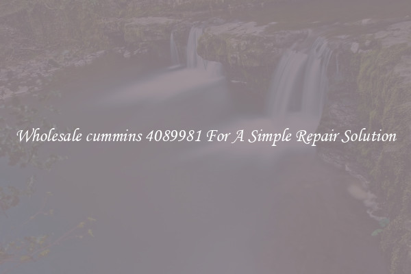 Wholesale cummins 4089981 For A Simple Repair Solution