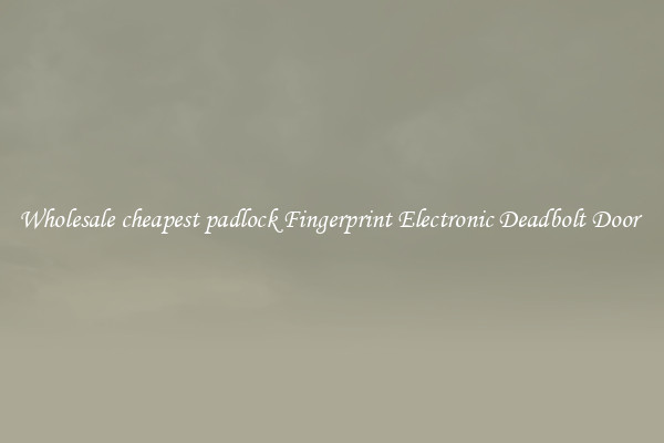 Wholesale cheapest padlock Fingerprint Electronic Deadbolt Door 