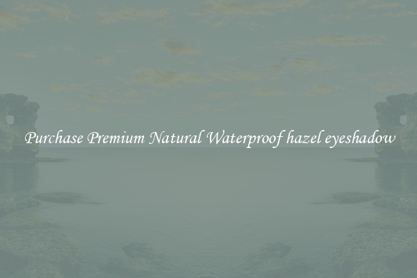 Purchase Premium Natural Waterproof hazel eyeshadow