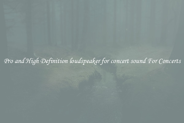 Pro and High Definition loudspeaker for concert sound For Concerts
