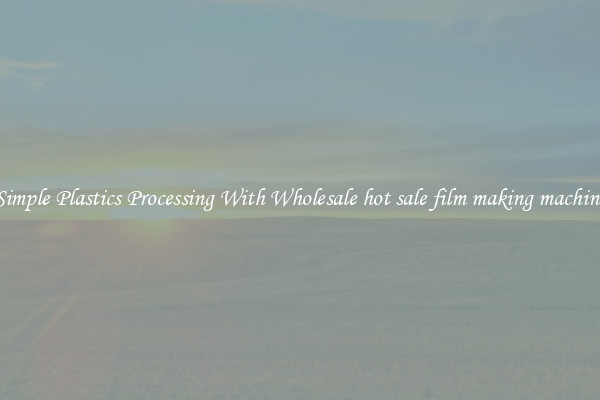 Simple Plastics Processing With Wholesale hot sale film making machine
