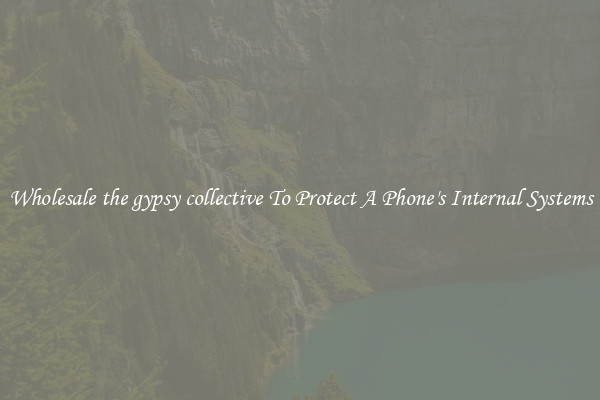 Wholesale the gypsy collective To Protect A Phone's Internal Systems