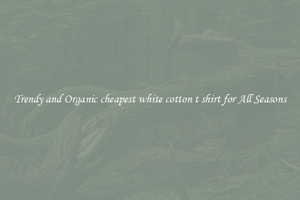 Trendy and Organic cheapest white cotton t shirt for All Seasons