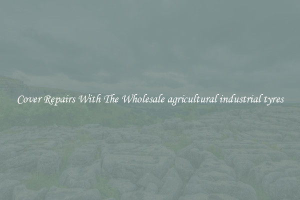  Cover Repairs With The Wholesale agricultural industrial tyres 