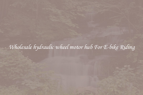 Wholesale hydraulic wheel motor hub For E-bike Riding