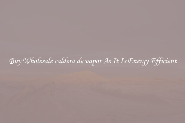 Buy Wholesale caldera de vapor As It Is Energy Efficient