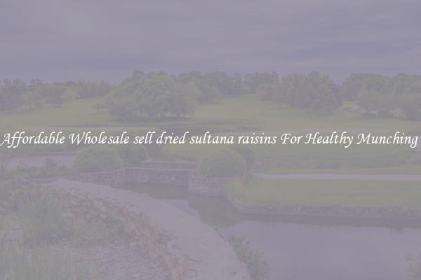 Affordable Wholesale sell dried sultana raisins For Healthy Munching 
