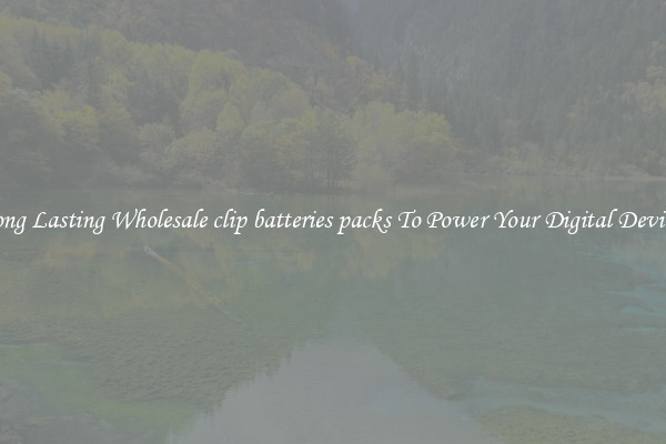 Long Lasting Wholesale clip batteries packs To Power Your Digital Devices