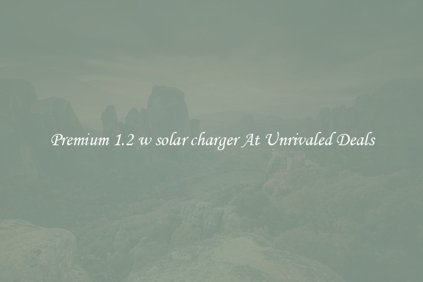 Premium 1.2 w solar charger At Unrivaled Deals