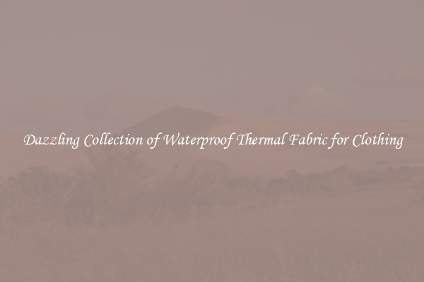 Dazzling Collection of Waterproof Thermal Fabric for Clothing