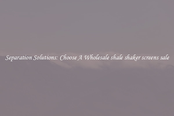 Separation Solutions: Choose A Wholesale shale shaker screens sale