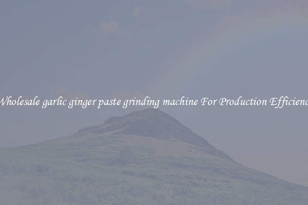 Wholesale garlic ginger paste grinding machine For Production Efficiency