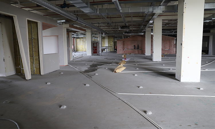 91成人免费看片公司