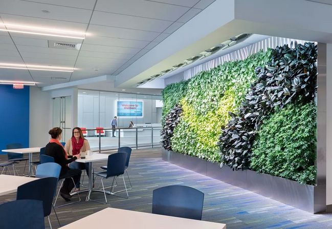 上海91看片成人免费公司