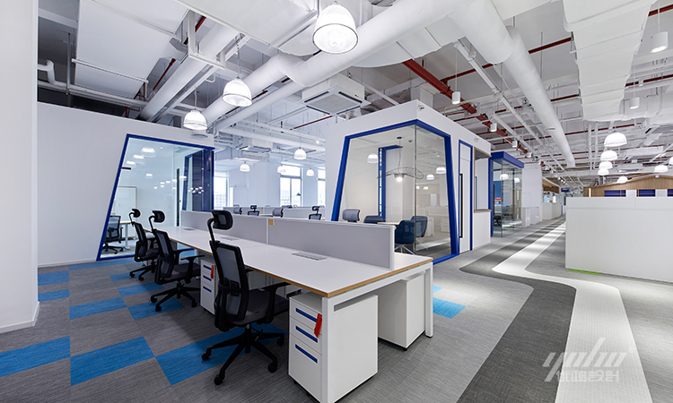 91看片成人免费