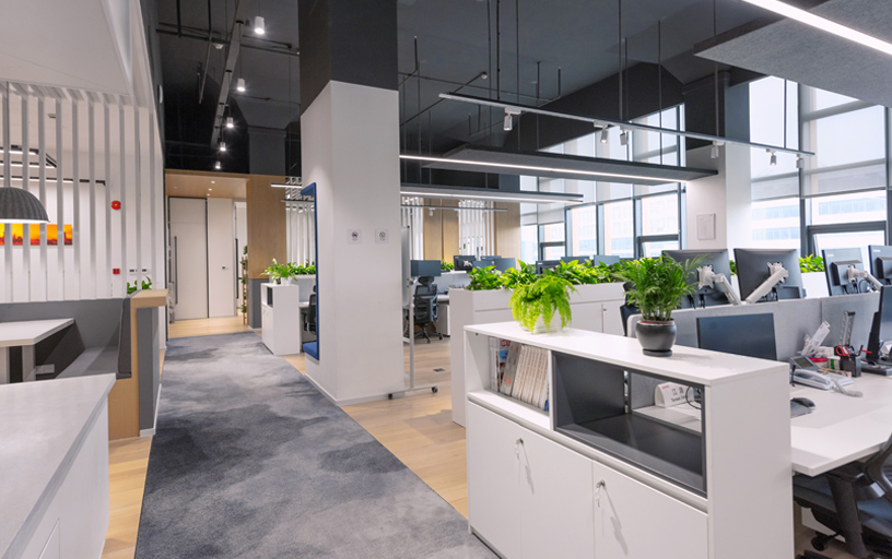 上海91成人免费看片