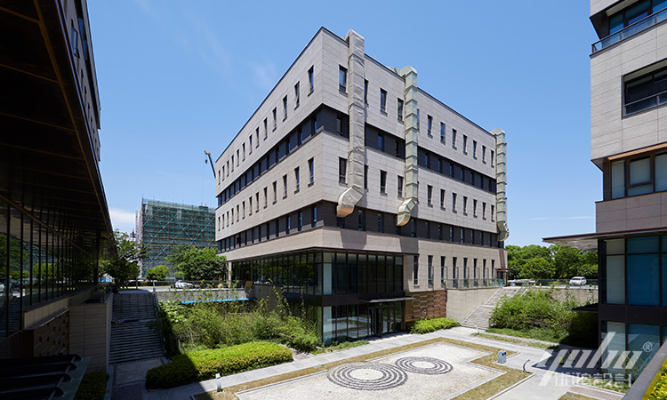 91看片成人免费